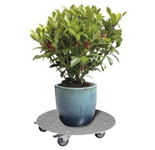 Pflanzenroller WagnerSystem Alaska Aluminium Ø 38 cm Tragkraft 150 kg silber