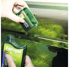 Aquarienpflanzendünger wird in ein Aquarium gegeben
