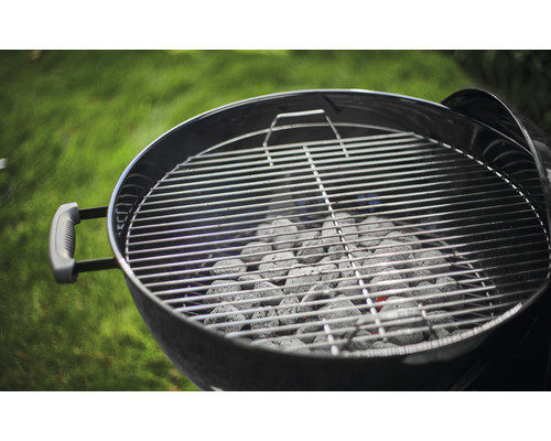Kugelgrill mit Grillrost und Holzkohle