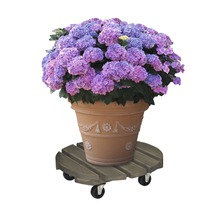 Hortensie in einem Terrakottatopf auf einem Pflanzenroller aus Holz