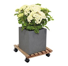 Blumenkasten mit Hortensien auf Pflanzenroller