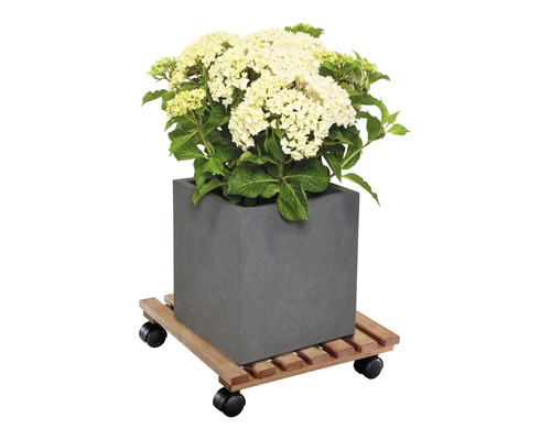 Blumenkasten mit Hortensien auf Pflanzenroller
