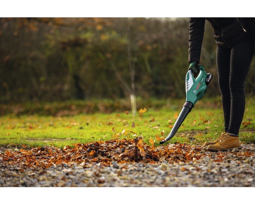 Person benutzt einen Laubbläser von Bosch zum Entfernen von Laub im Garten.