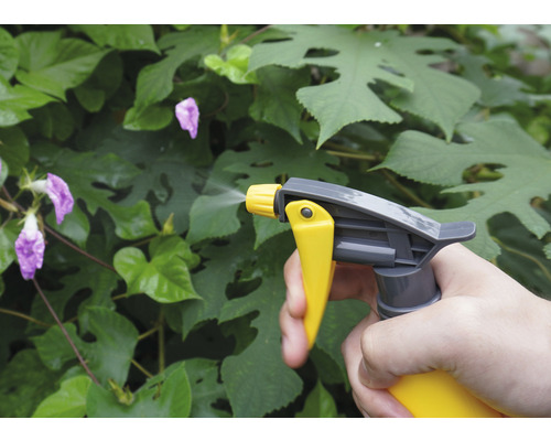 Anwendung von Pflanzenschutzmittel mit einer Sprühflasche im Garten