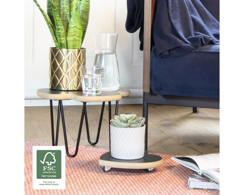 Dekoratives Interieur mit Zimmerpflanzen auf Beistelltischen und Pflanzenrollern im Wohnzimmer.