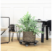 Pflanzenroller WagnerSystem Ø 38 cm H 7,5 cm Metall schwarz