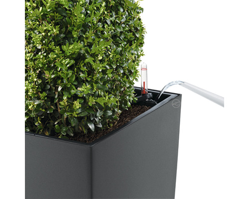 Bewässerung eines bepflanzten Blumenkübels mit Wasserstandsanzeige.