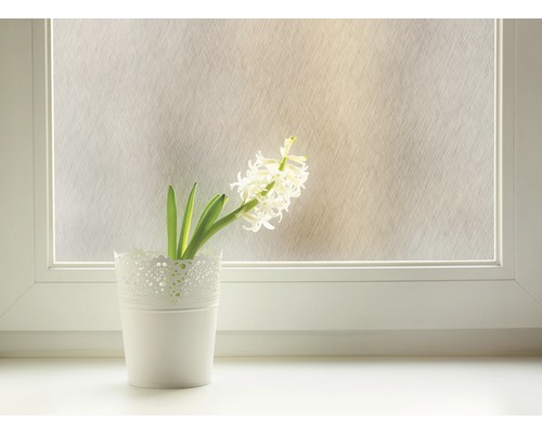 Dekorfolie mit Pflanze im Topf auf Fensterbank