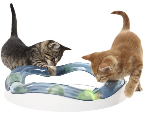 Zwei Kätzchen spielen mit einem Katzenspielzeug mit Bällen in einer transparenten Röhre