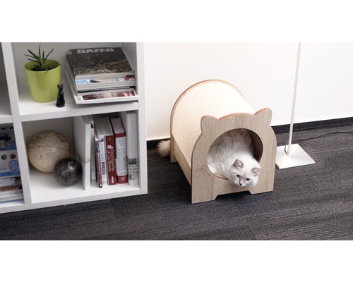 Katze in einem Katzenhaus mit Kratzfläche neben einem Regal.