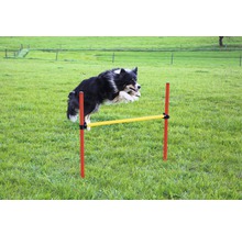 Ein Hund springt über eine Agility Hürde im Garten.