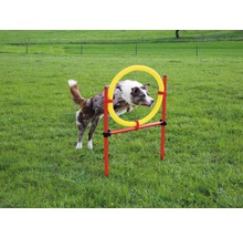 Ein Hund springt durch einen Agility Reifen im Garten.