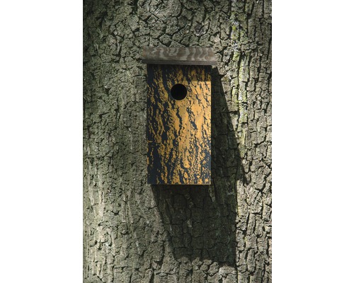 Ein Nistkasten hängt an einem Baum