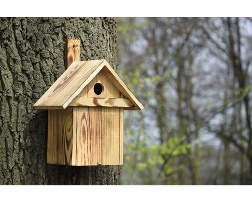 Vogelhaus aus Holz an einem Baumstamm befestigt
