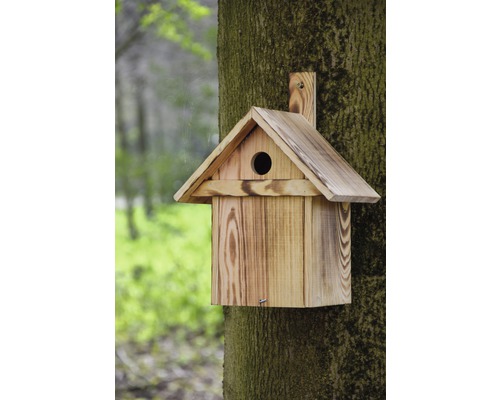 Holz-Nistkasten mit rundem Eingangsloch an einem Baum befestigt