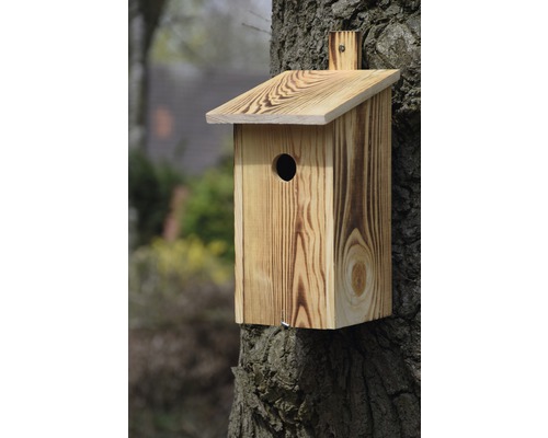 Holz Vogelhaus mit rundem Einflugloch an einem Baum befestigt
