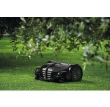 Rasenmähroboter auf einer Rasenfläche