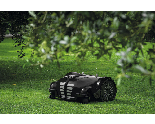 Rasenmähroboter auf einer Rasenfläche