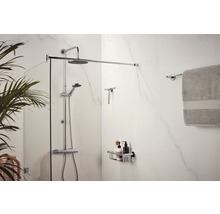 Badezimmerausstattung mit Duschabtrennung, Brausegarnitur, Ablagekorb, Handtuch und Abzieher