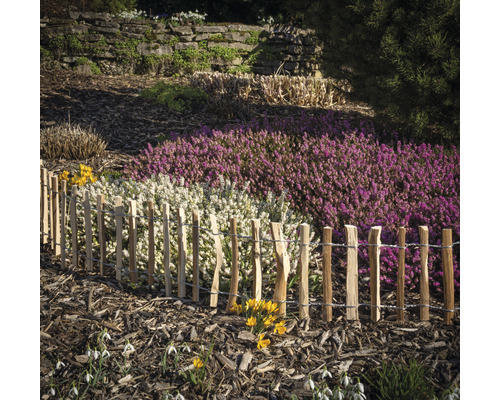 Garten mit Holzzaun, Heidekraut und Bodendecker