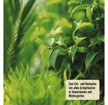 Grünpflanzen- & Palmenerde FloraSelf 10 L-thumb-1