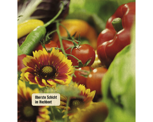 Gemüsebeet mit Tomaten, Paprika, Salat und Ringelblumen