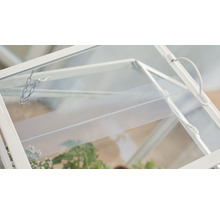 Detailansicht eines Mini-Gewächshauses mit transparenten Scheiben und Pflanzen