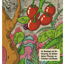 Illustration von Tomaten, Beeren, Salat und Erbsen für die Neuanlage und Verbesserung von Gemüsebeeten sowie die Pflanzung von Sträuchern und Bäumen