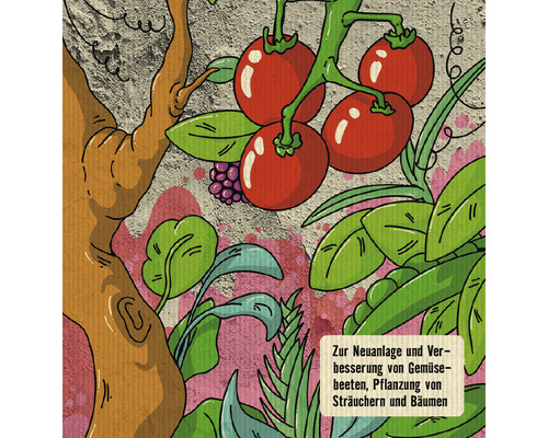 Illustration von Tomaten, Beeren, Salat und Erbsen für die Neuanlage und Verbesserung von Gemüsebeeten sowie die Pflanzung von Sträuchern und Bäumen