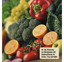 Gemüse und Obst für die Pflanzung im Garten, Trog und Kübel