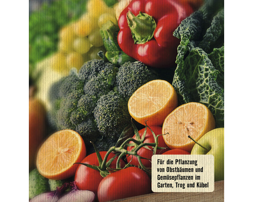 Gemüse und Obst für die Pflanzung im Garten, Trog und Kübel