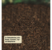 Nahaufnahme von Rindenmulch zur Bodenabdeckung unter Bäumen, Sträuchern sowie Topf- und Kübelpflanzen.