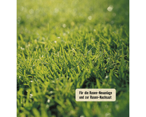 Nahaufnahme von Rasen für die Rasenneuanlage und zur Rasennachsaat