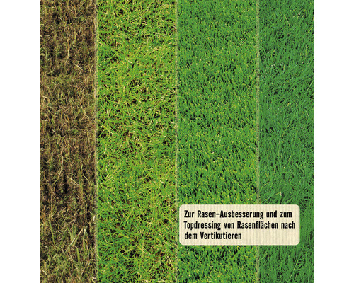 Verschiedene Rasenzustände für Rasenverbesserung und Topdressing nach dem Vertikutieren