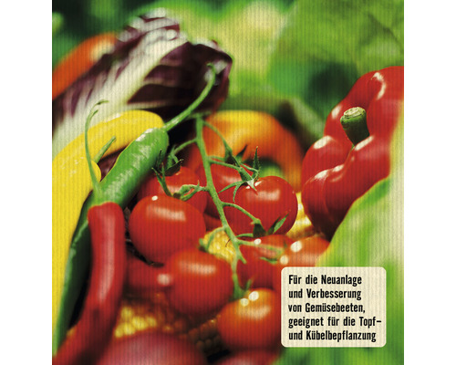 Gemüsebeet mit Paprika, Tomaten und Salat