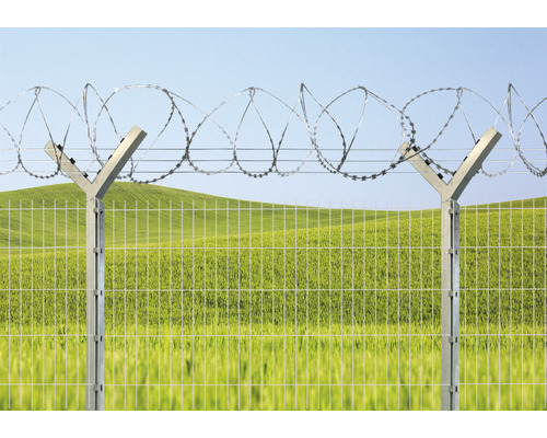 Metallzaun mit Stacheldraht als Grundstückssicherung