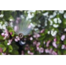 Gartensprenger im Betrieb vor Blumenbeet