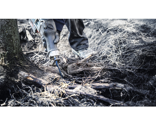 Eine Person benutzt eine Säbelsäge, um Wurzeln zu schneiden.