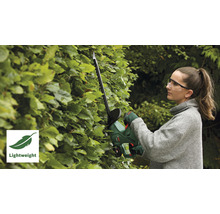 Frau schneidet Hecke mit einer Akku-Heckenschere