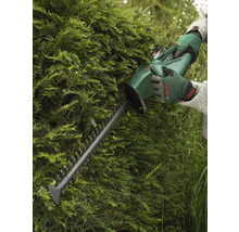 Heckenschere im Einsatz an einer Hecke
