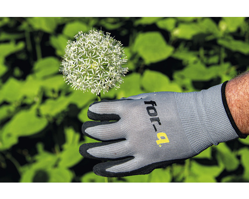 Gartenhandschuh mit Alliumblüte