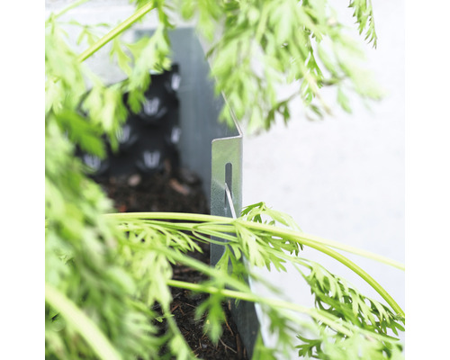 Detailansicht eines Metall-Pflanzkastens mit Pflanzen