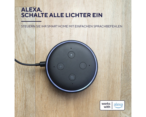 Intelligenter Lautsprecher zur Steuerung von Smart-Home-Geräten mit Sprachbefehlen