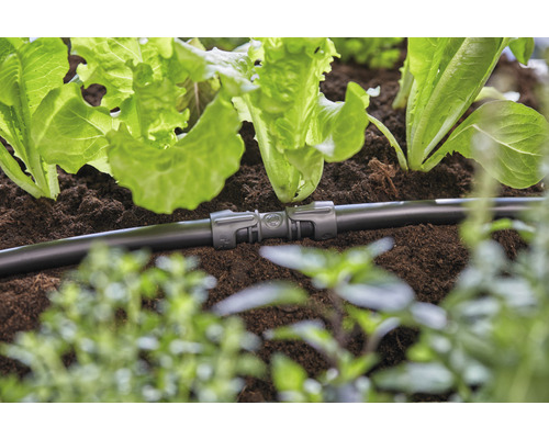 Bewässerungssystem mit Verbindungselement im Gartenbeet