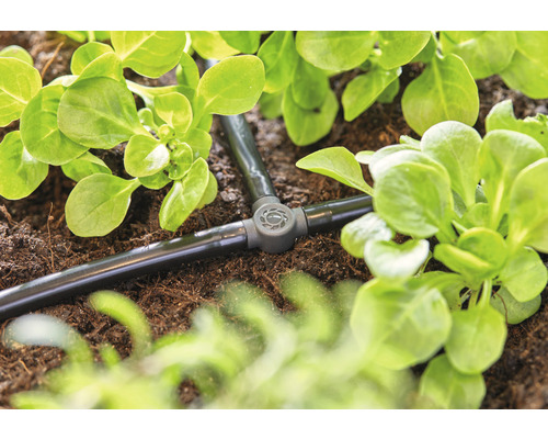 Tropfbewässerungssystem im Garten mit Pflanzen