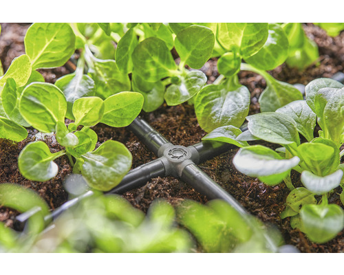 Bewässerungssystem mit Verteiler zwischen Pflanzen im Garten