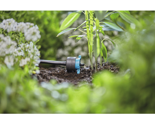 Tropfbewässerung im Gartenbeet zur Bewässerung von Pflanzen