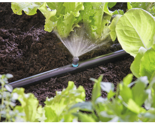 Bewässerungssystem im Einsatz zur Bewässerung von Pflanzen im Gartenbeet