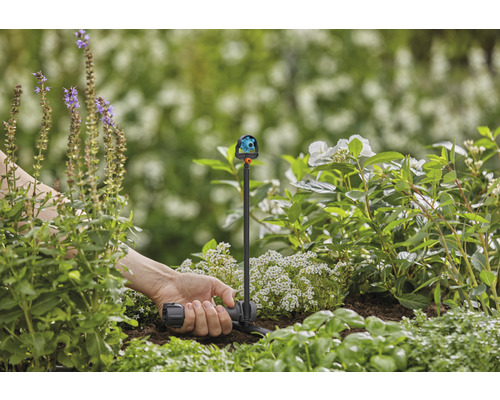 Gartenbewässerung mit Vielflächenregner im Blumenbeet