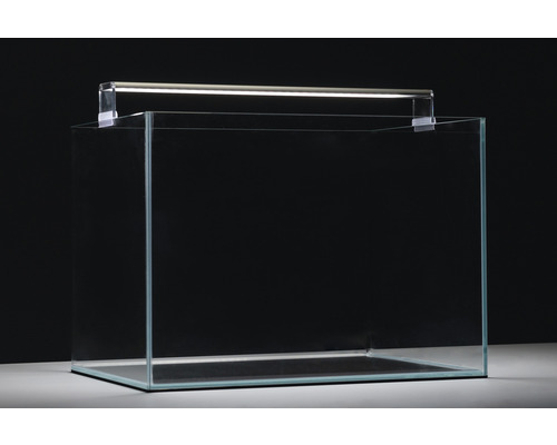 Leeres Glasaquarium mit Beleuchtung